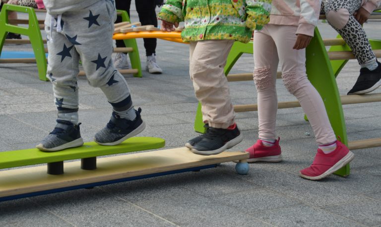 What Is an Eco-Welfare State -seminar – 21 January 2020