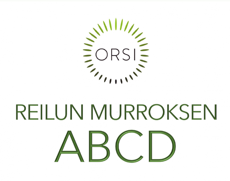 Reilun murroksen ABCD